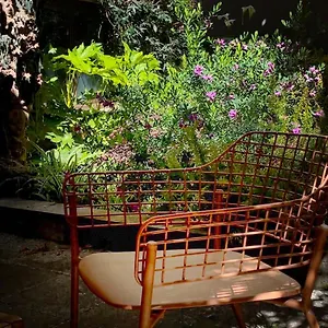 https://loquat-house-nel-giardino-segreto-in-zona-vaticano.it-romehotels.com